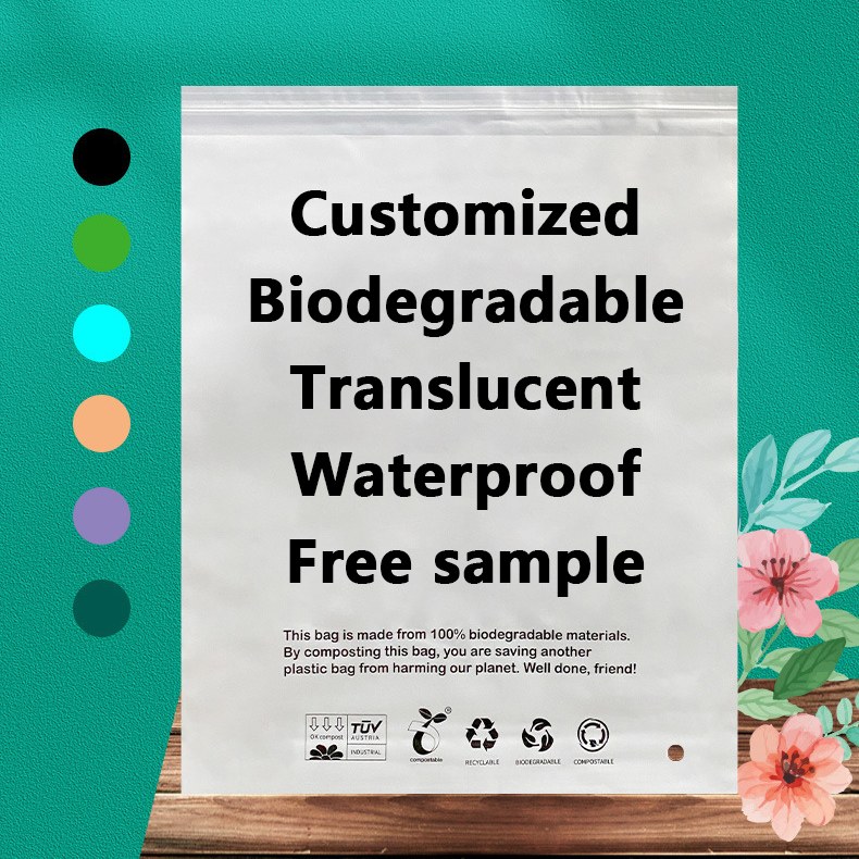 জিল এক্স বিশ্বব্যাপী টেকসই প্যাকেজিং সমাধানের জন্য উচ্চ-পারফরম্যান্স PLA PBAT বায়োডিগ্রেডেবল ব্যাগ চালু করেছে