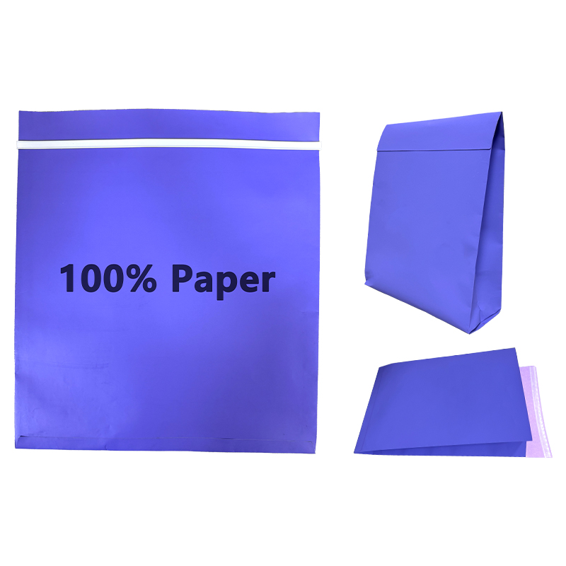 Zeal X উচ্চ-ক্ষমতা টেকসই শিপিংয়ের জন্য সাইড গাসেটেড পুনর্ব্যবহৃত কাগজের ব্যাগ চালু করেছে